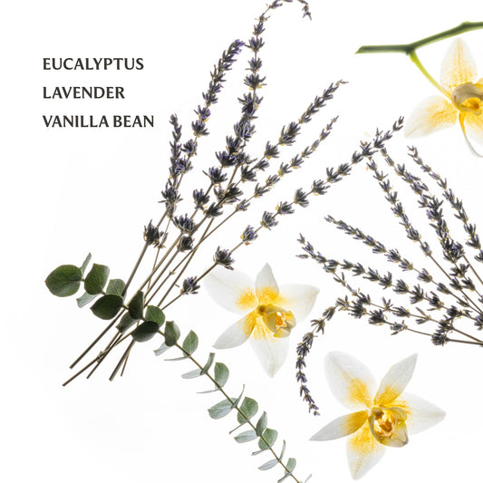 Pure Lavender Touchland Hand Sanitizer