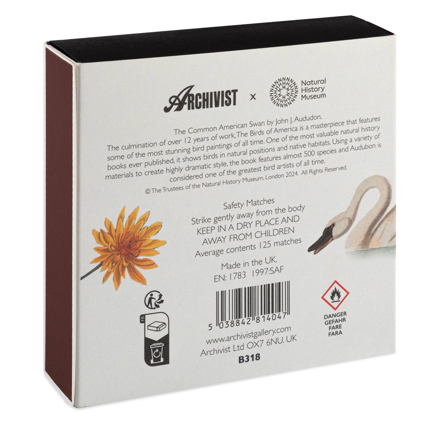 The Common American Swan | Square Safety Matches