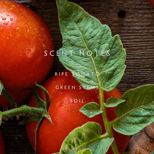 Linnea Heirloom Tomato Room Spray