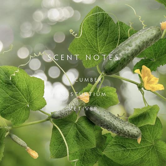 Linnea Cucumber Vine Room Spray