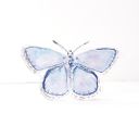 Blue Butterfly Acrylic Art Block