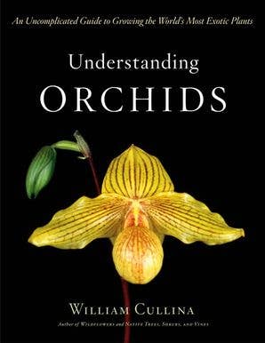 Understanding Orchids: William Cullina