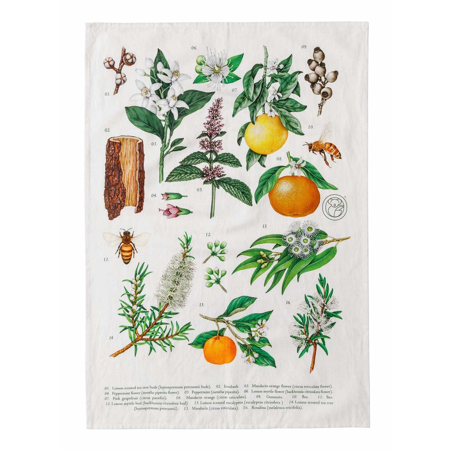 Koala Eco - Tea Towel - Terra Botanica