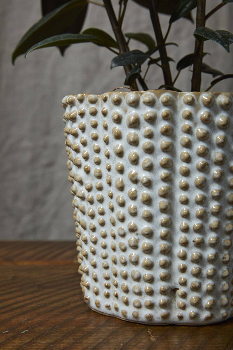 Nilly Ceramic Plant Pot