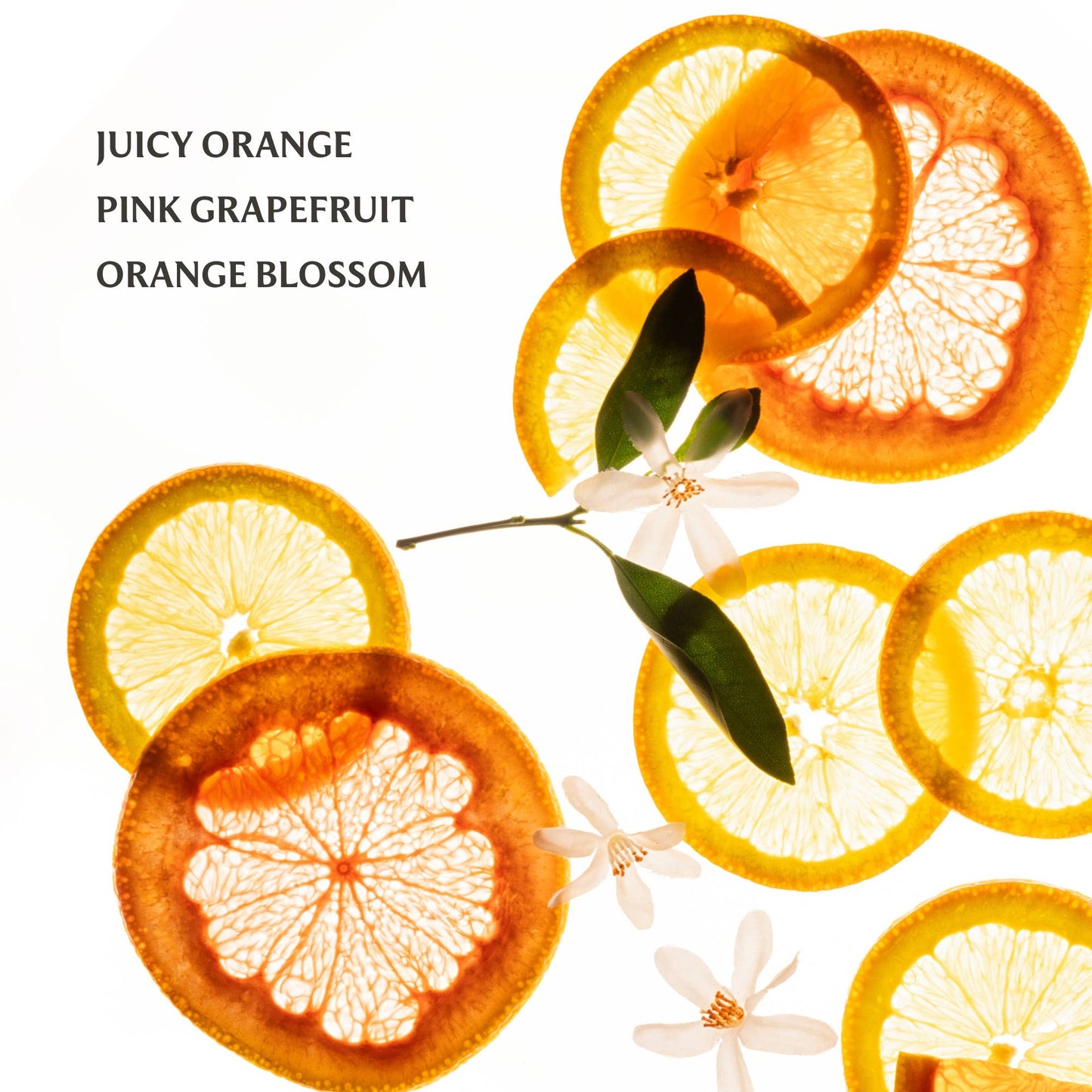 Citrus Grove Touchland Hand Sanitizer