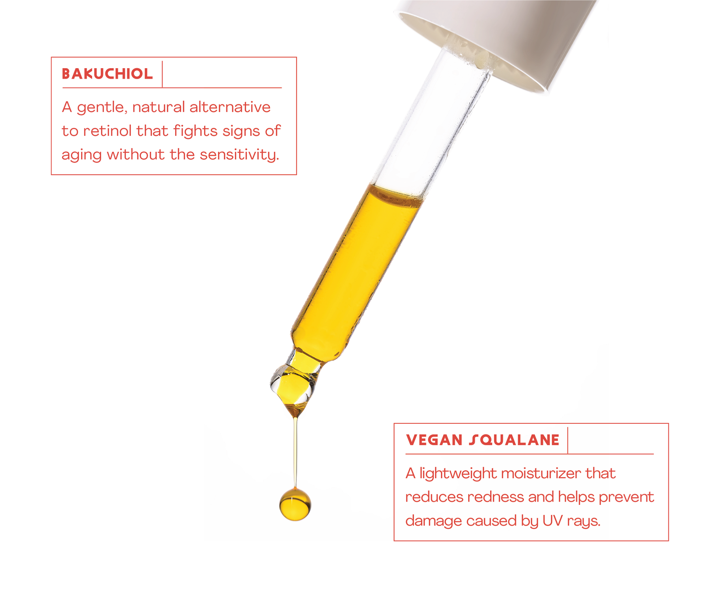Marine Layer Facial Oil