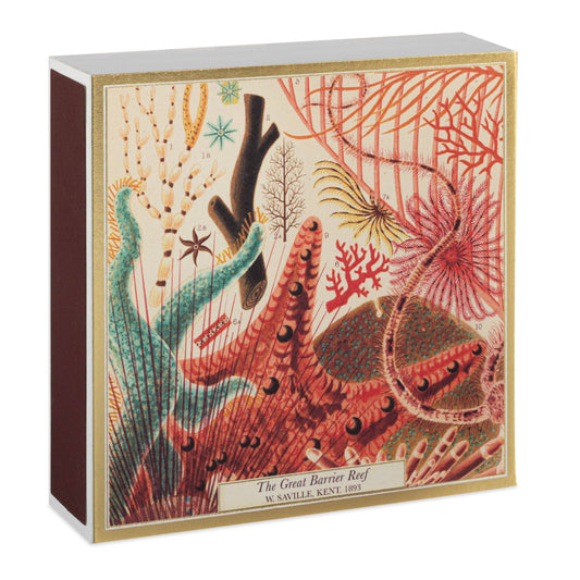 Great Barrier Reef | Square Safety Matches