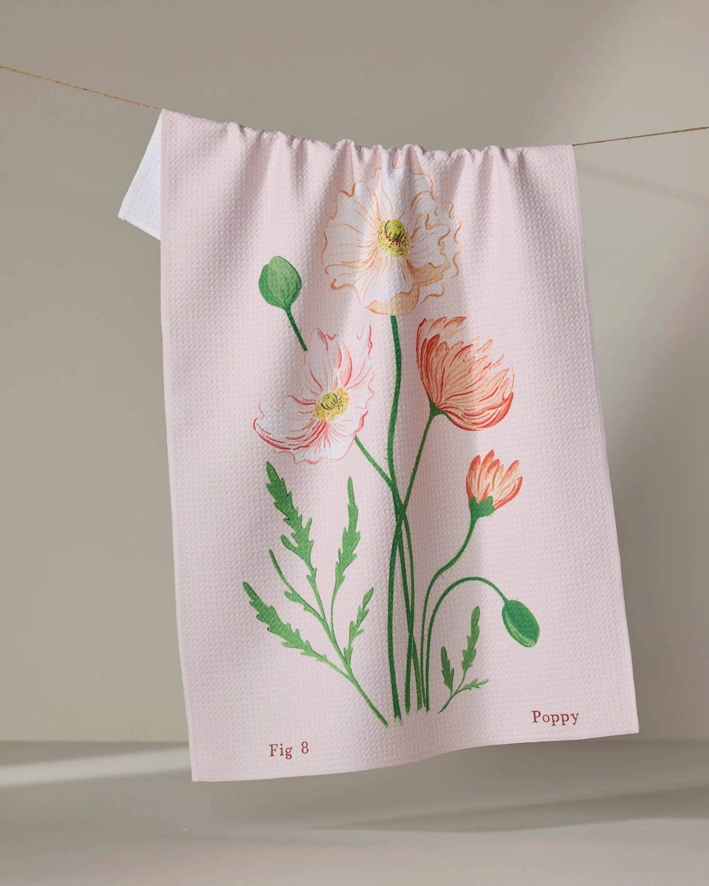Geometry - August Poppy