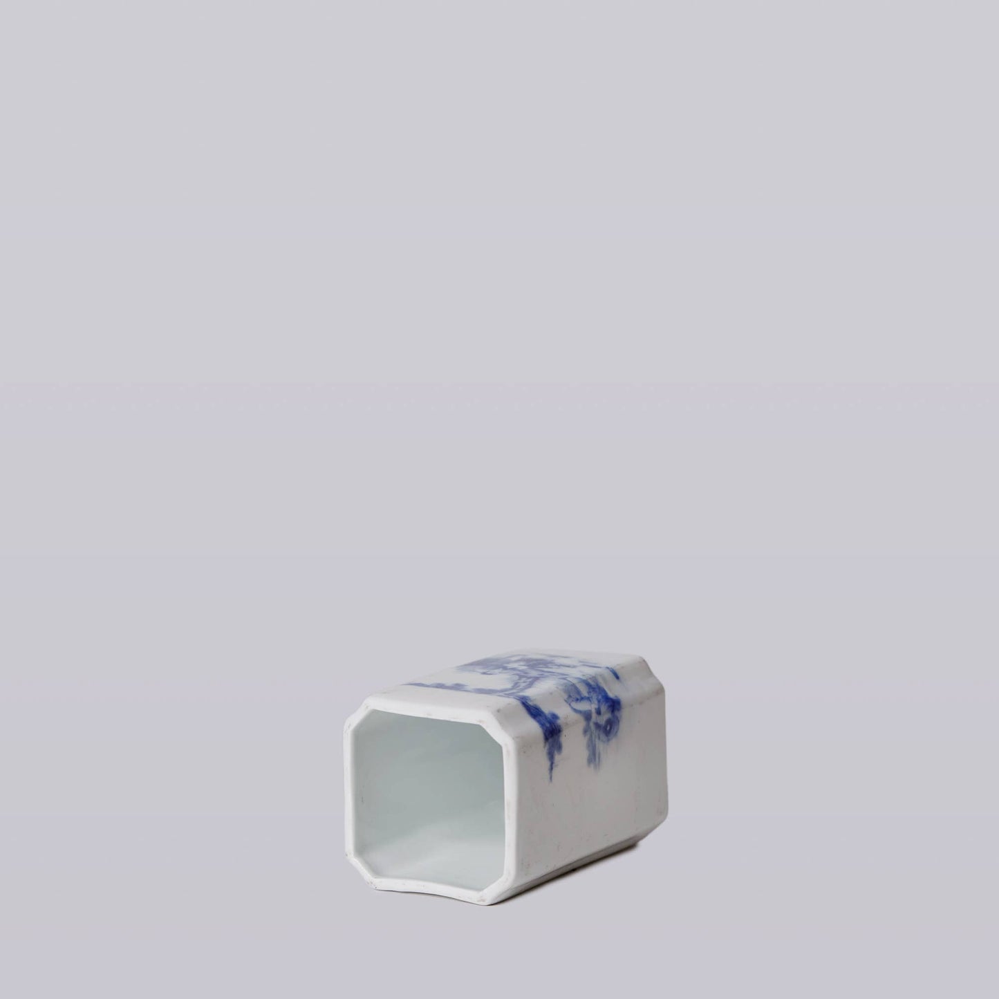 Blue and White Porcelain Tiger Square Vase