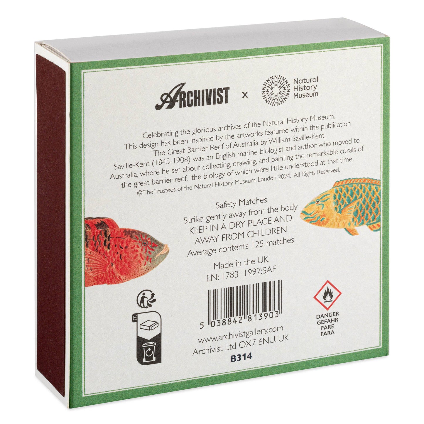 Natural History Museum Fish | Square Safety Matches