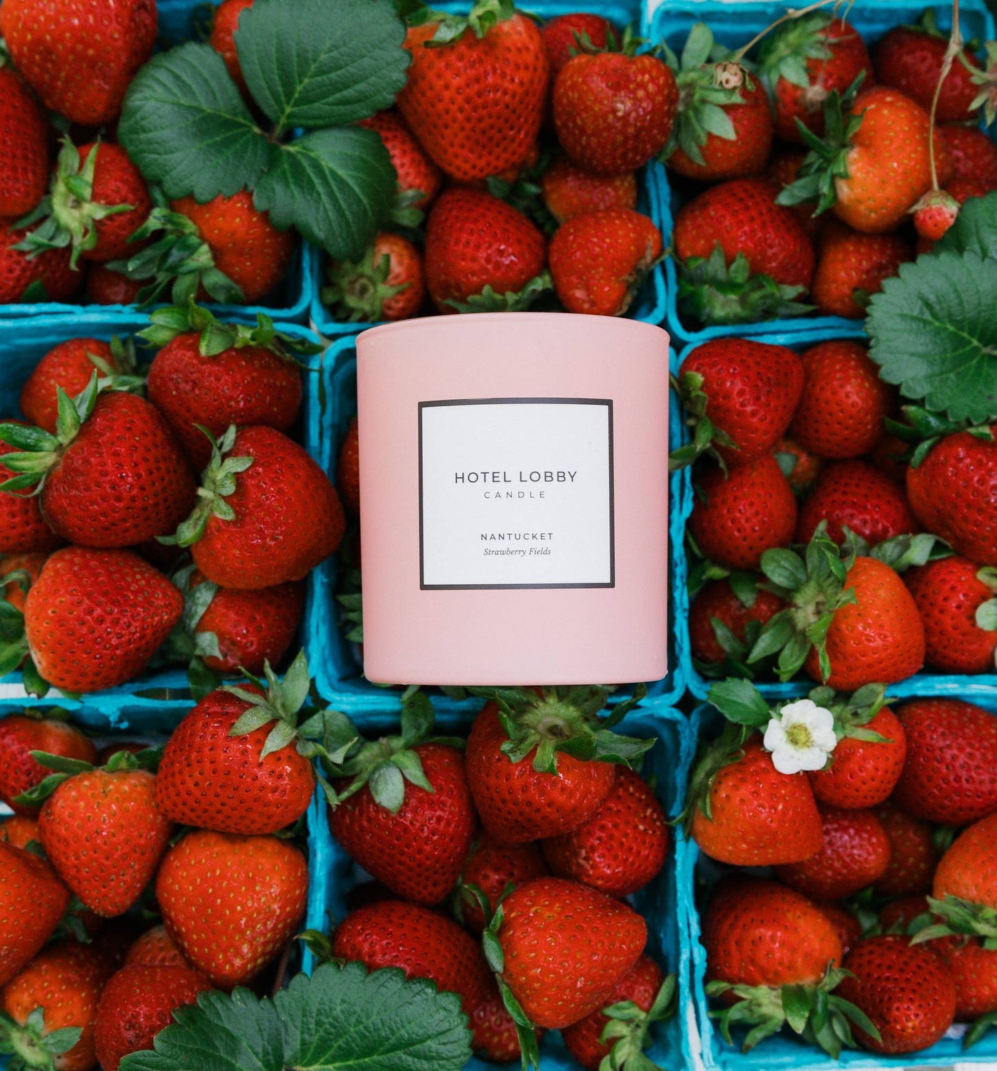 Hotel Lobby Candle - Nantucket Strawberry Fields - Luxury Soy Candle - 9.75 oz