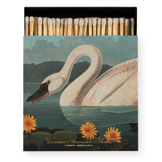 The Common American Swan  | Square Safety Matches