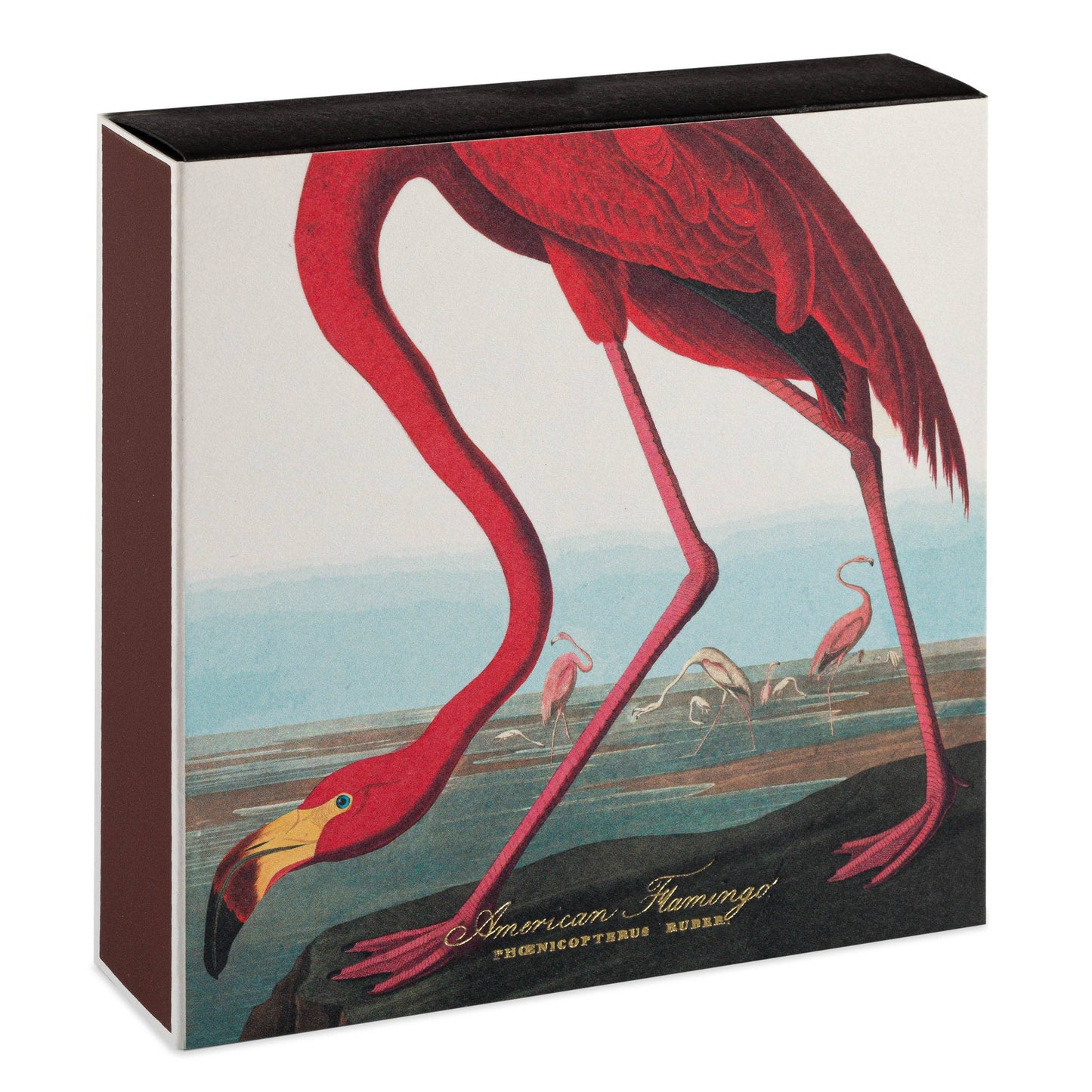 The American Flamingo  | Square - Safety Matches