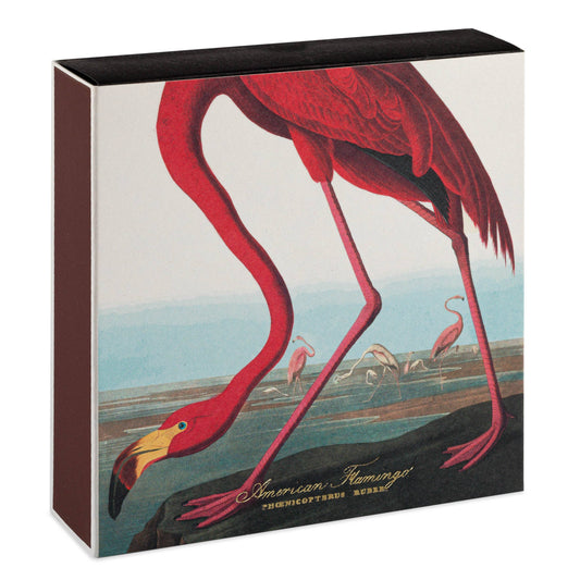 The American Flamingo  | Square - Safety Matches