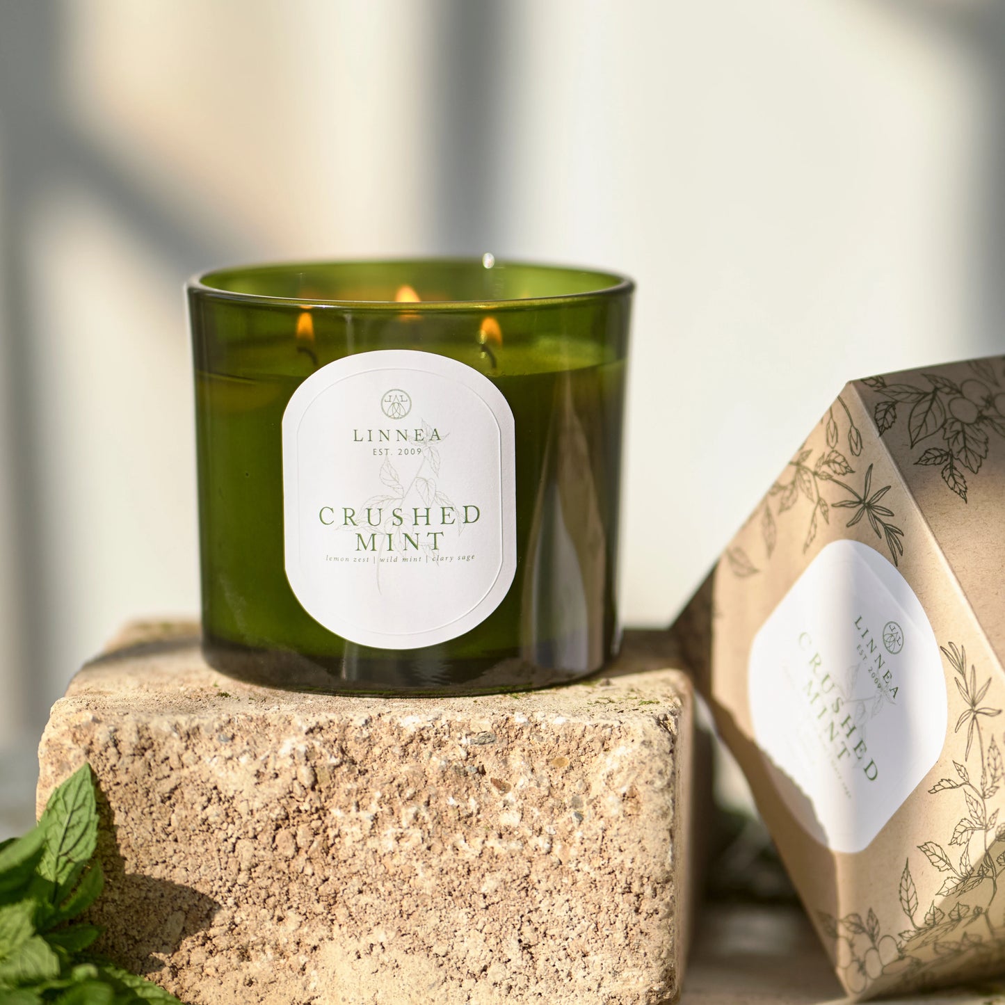 Grande Crushed Mint Candle