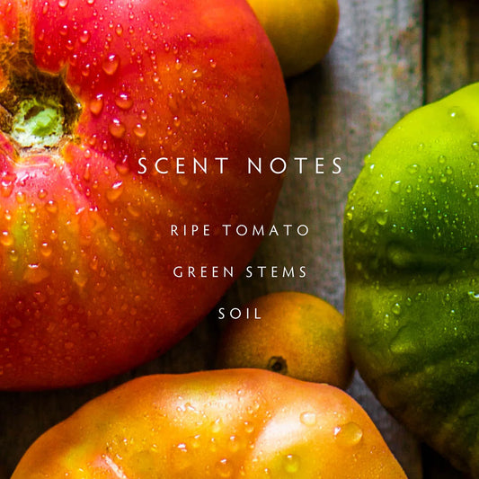 Grande Heirloom Tomato Candle
