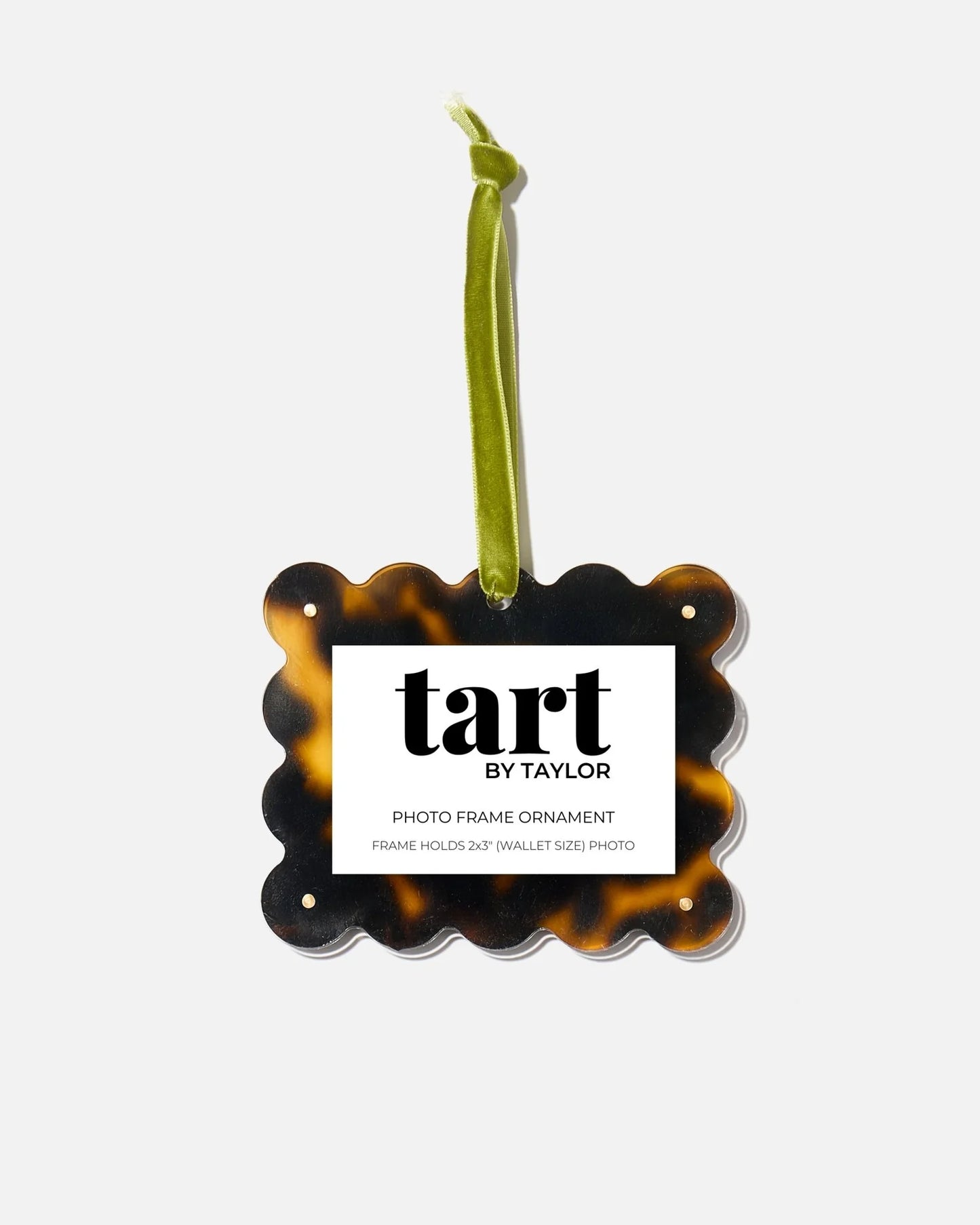 Tortoise Frame Ornament