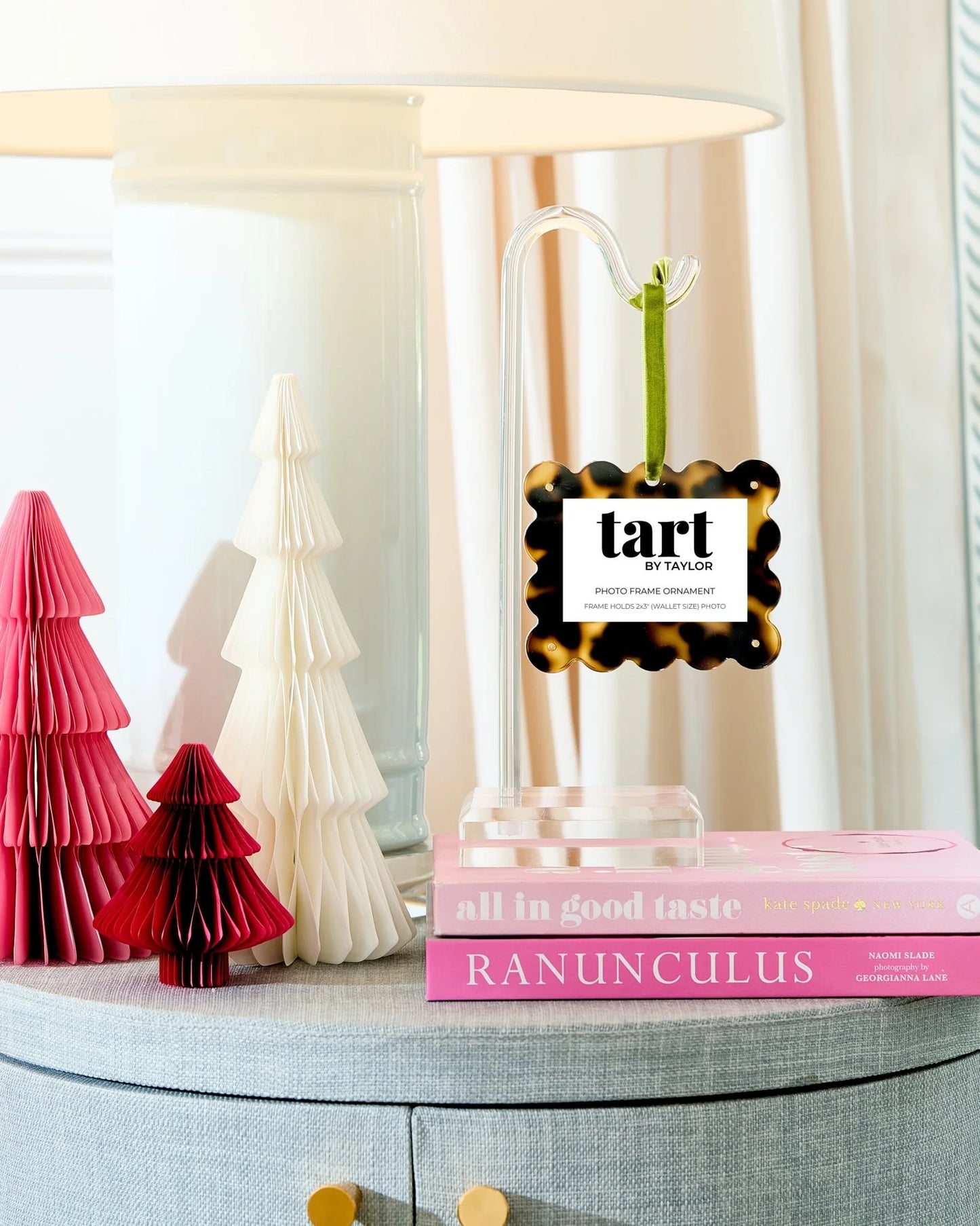 Tortoise Frame Ornament