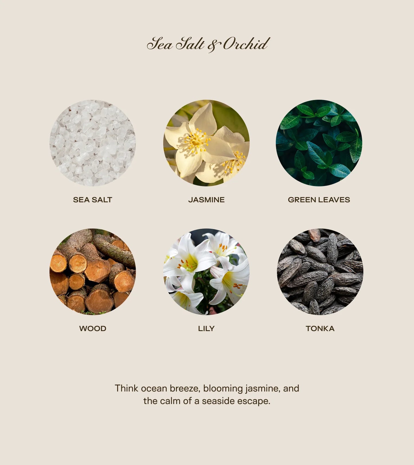 Sea Salt & Orchid Candle