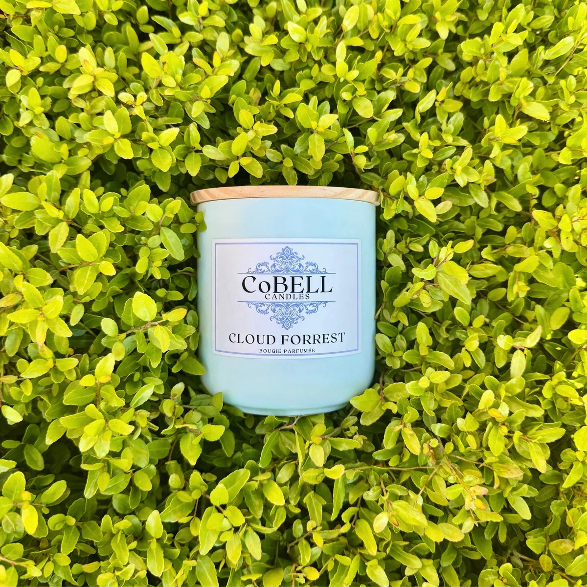 Cloud Forrest Candle