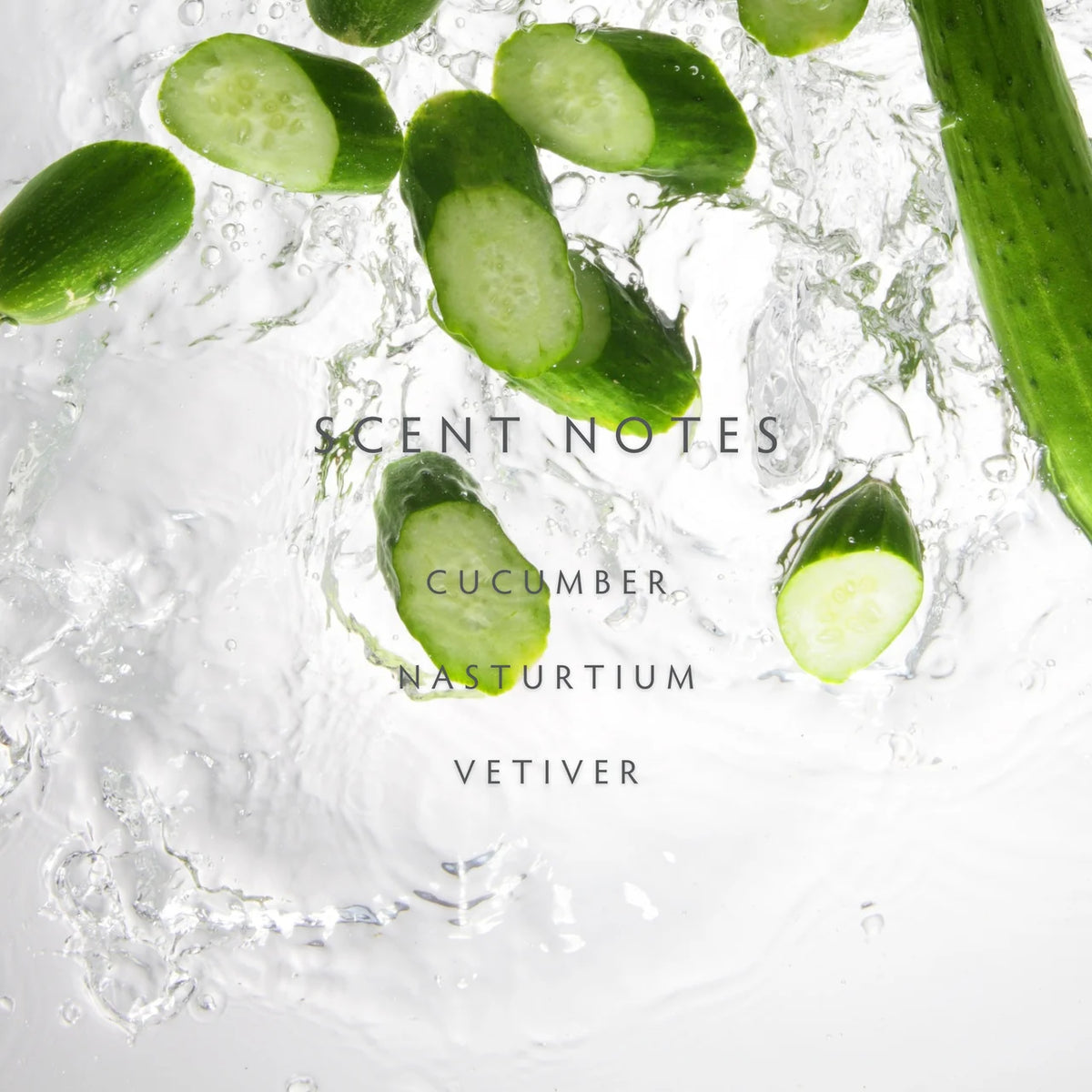 Linnea Cucumber Vine Reed Diffuser Kit