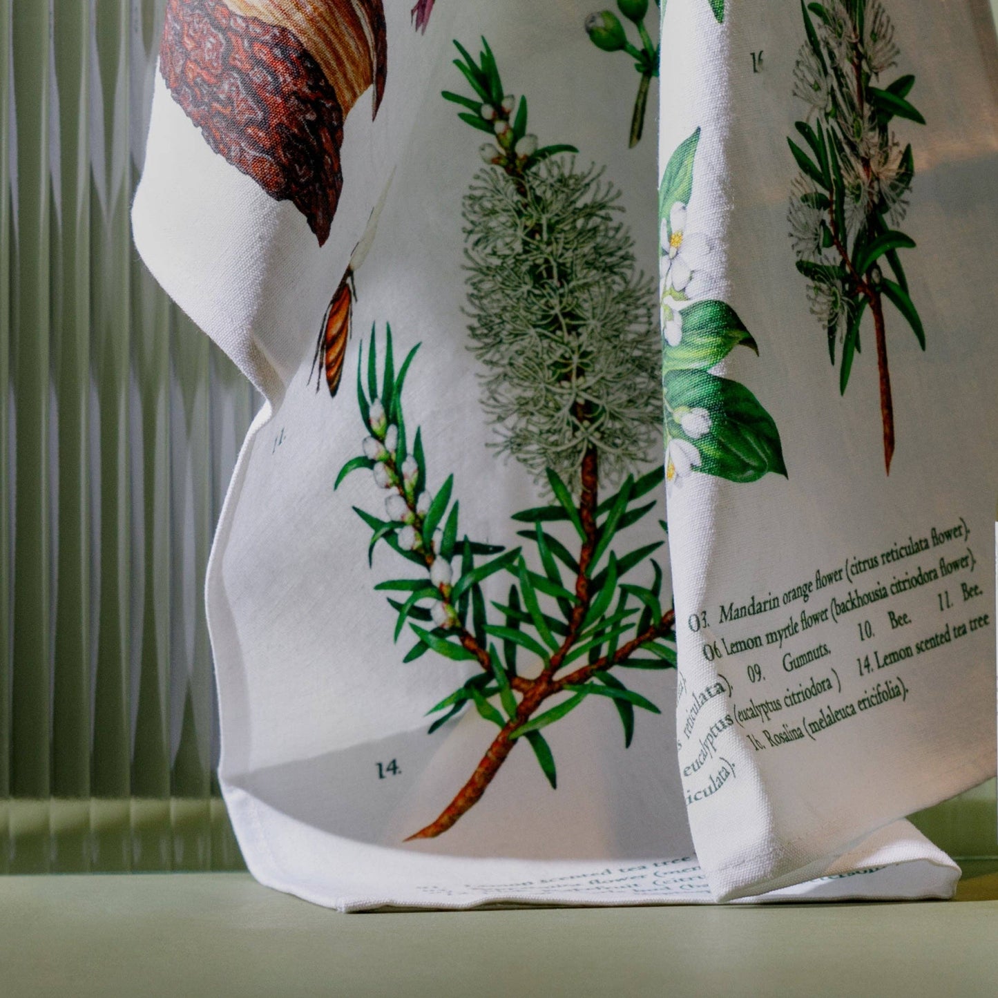 Koala Eco - Tea Towel - Terra Botanica