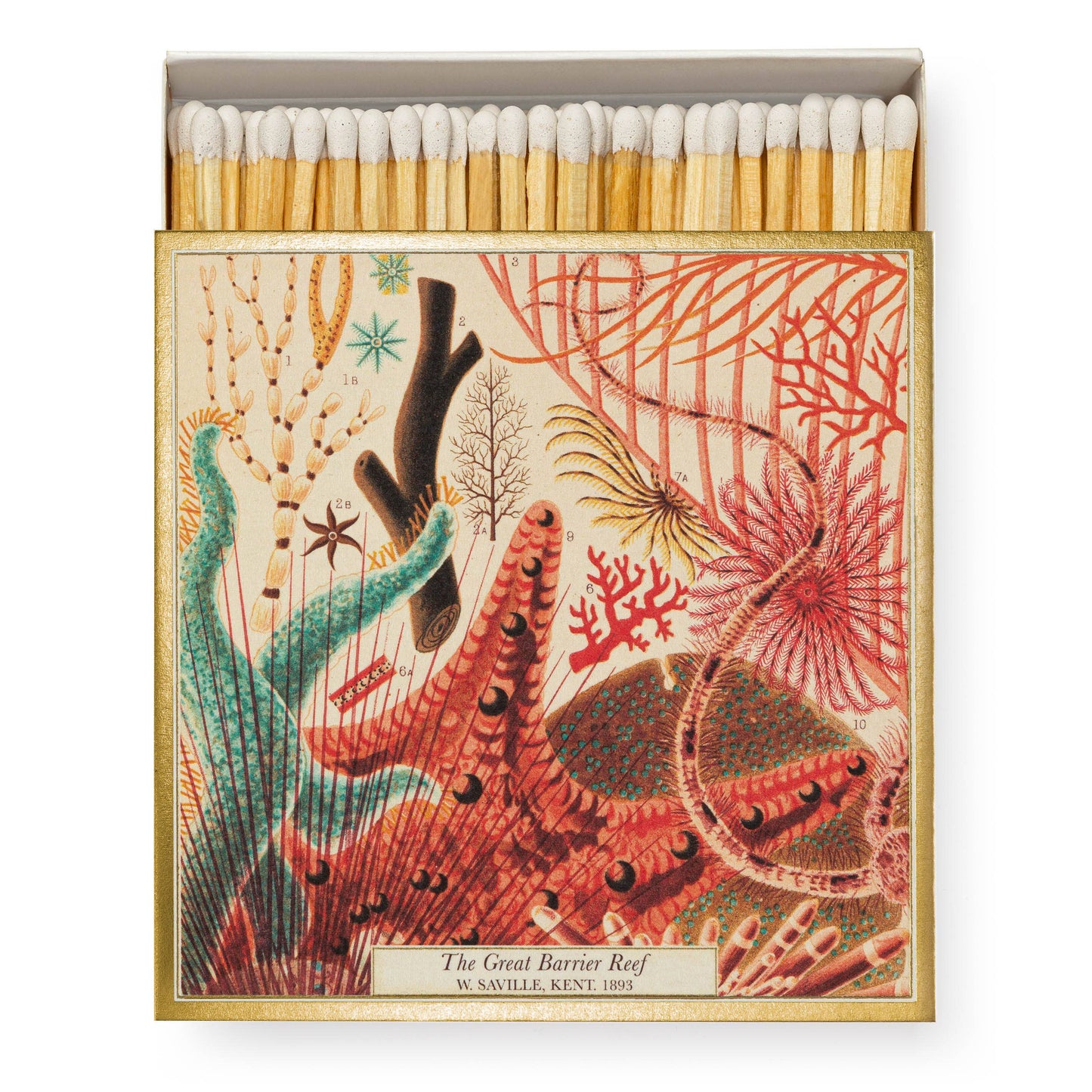 Great Barrier Reef | Square Safety Matches