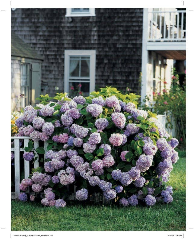 Martha Way, The : Martha Stewart