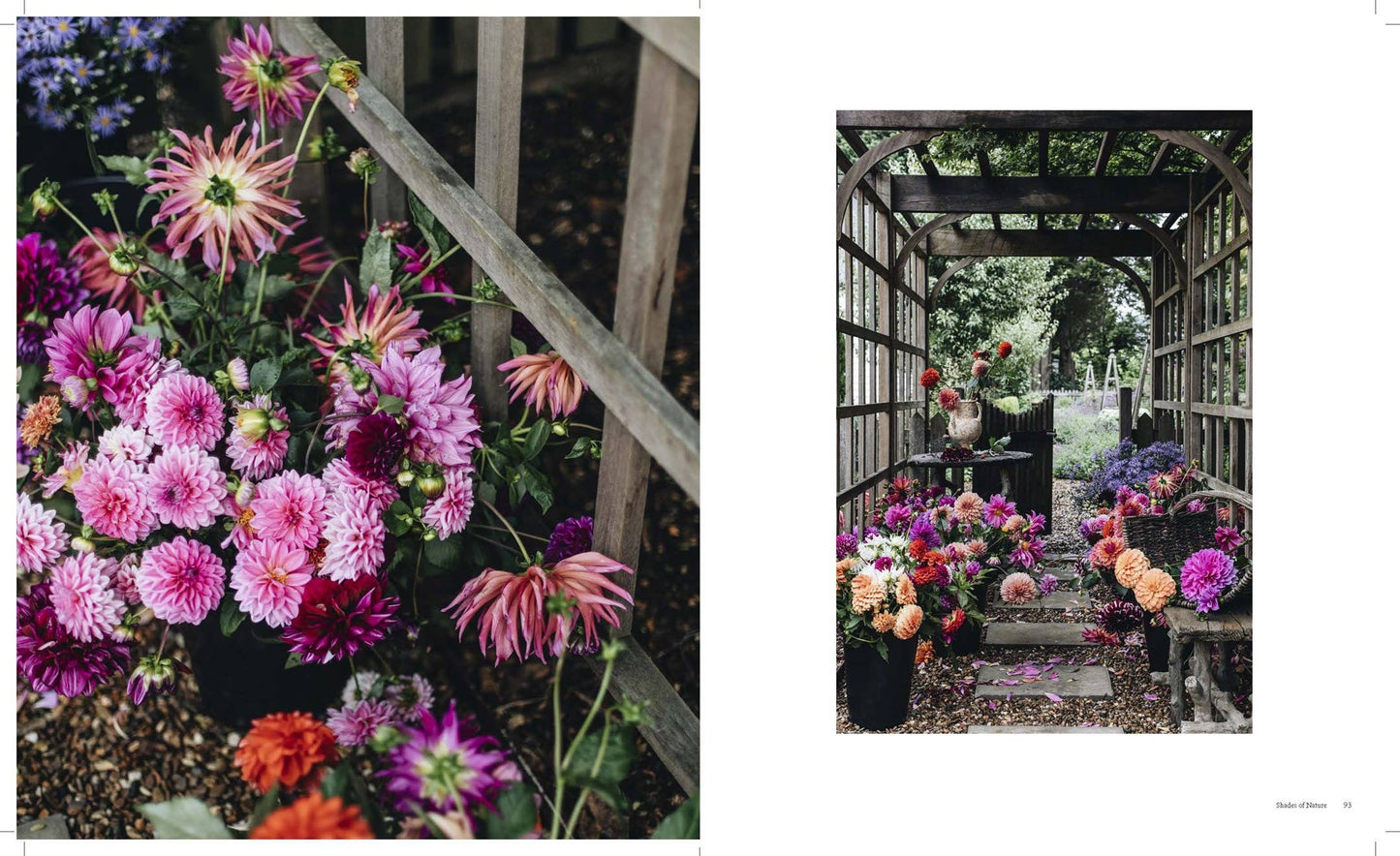 The Nature of Decorating
