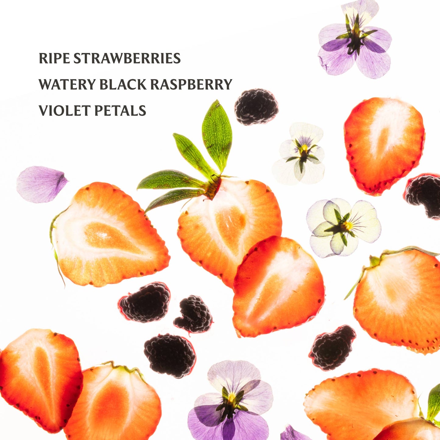 Berry Bliss Touchland Hand Sanitizer