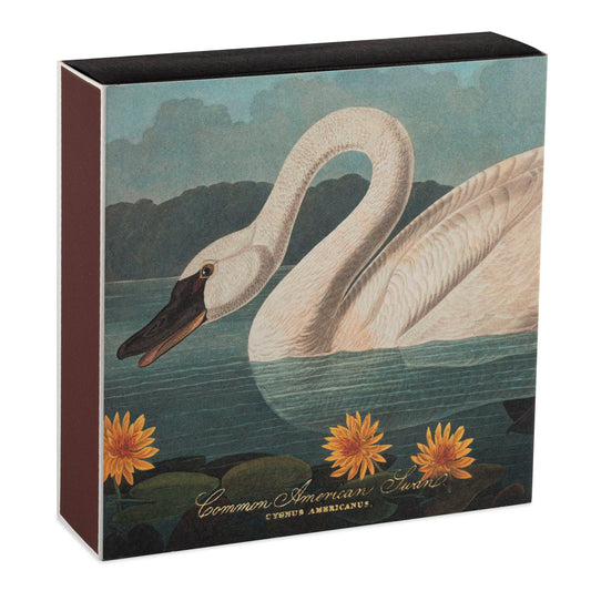 The Common American Swan  | Square Safety Matches